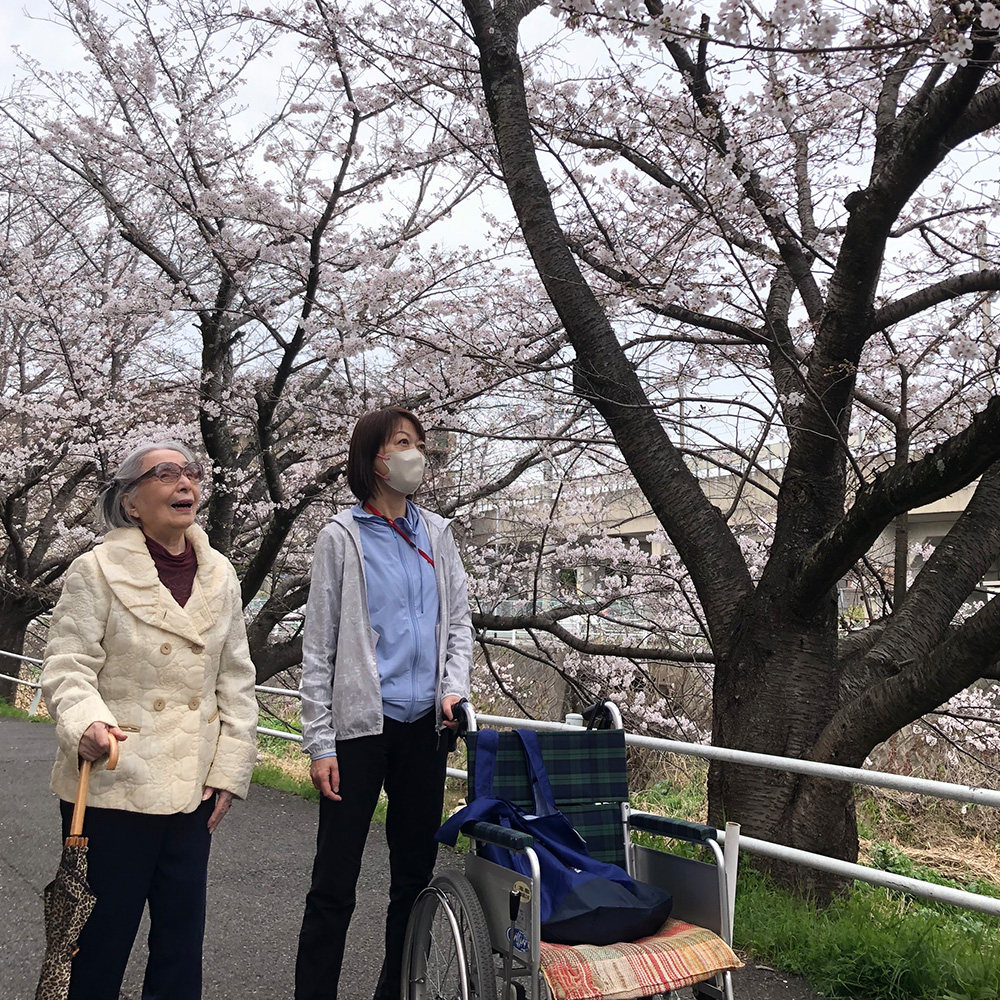 花見